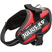 Los mejores  - JULIUS-K9 Arnés JULIUS-K9 IDC- Mini-Mini-S- 40–53 cm-22 mm- Rojo- Perro
